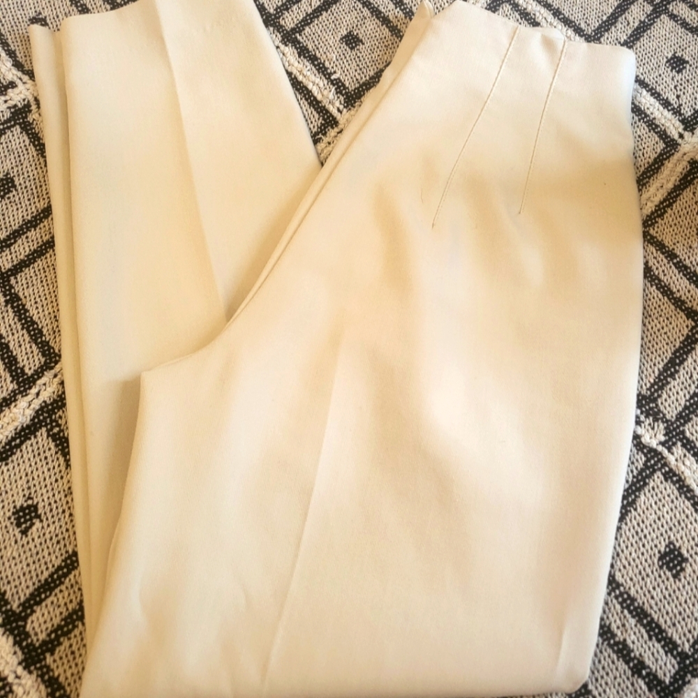 Zara Pleated High Rise Pants